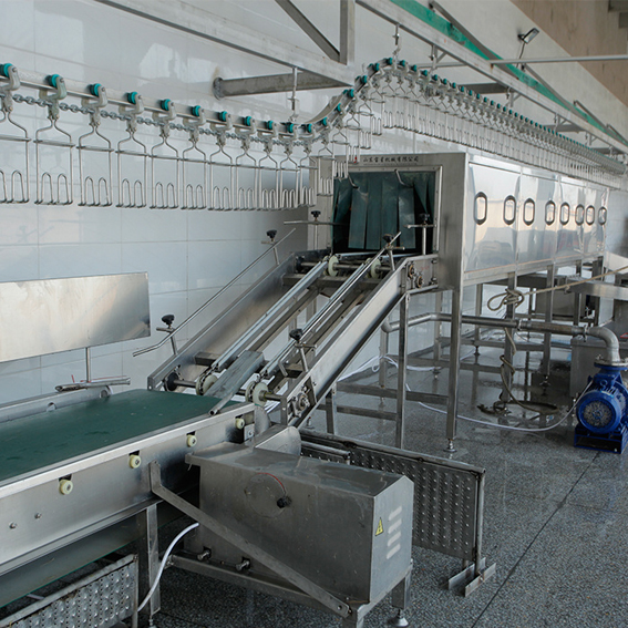 Poultry equipment