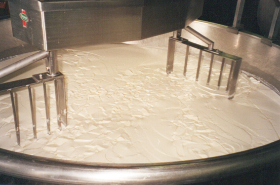 Cheese Vat