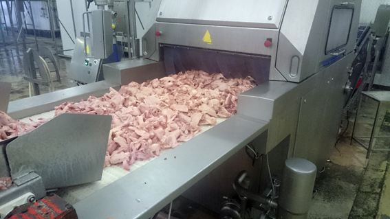 Poultry abattoir