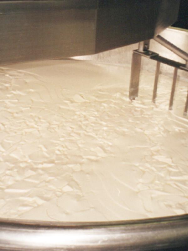 Cheese Vat